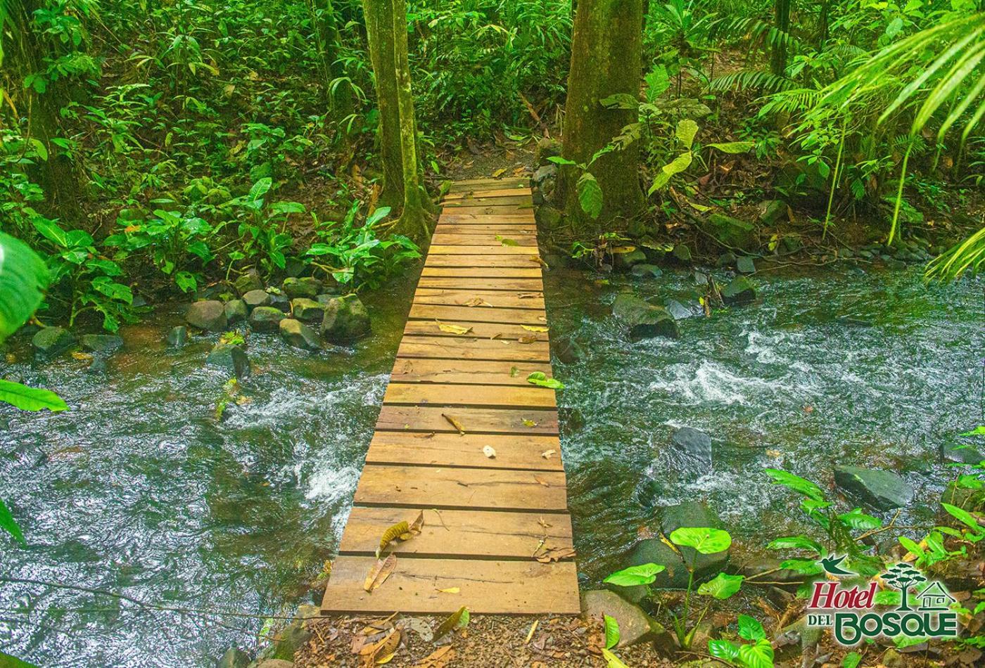 Hotel Del Bosque Rio Cuarto Bagian luar foto