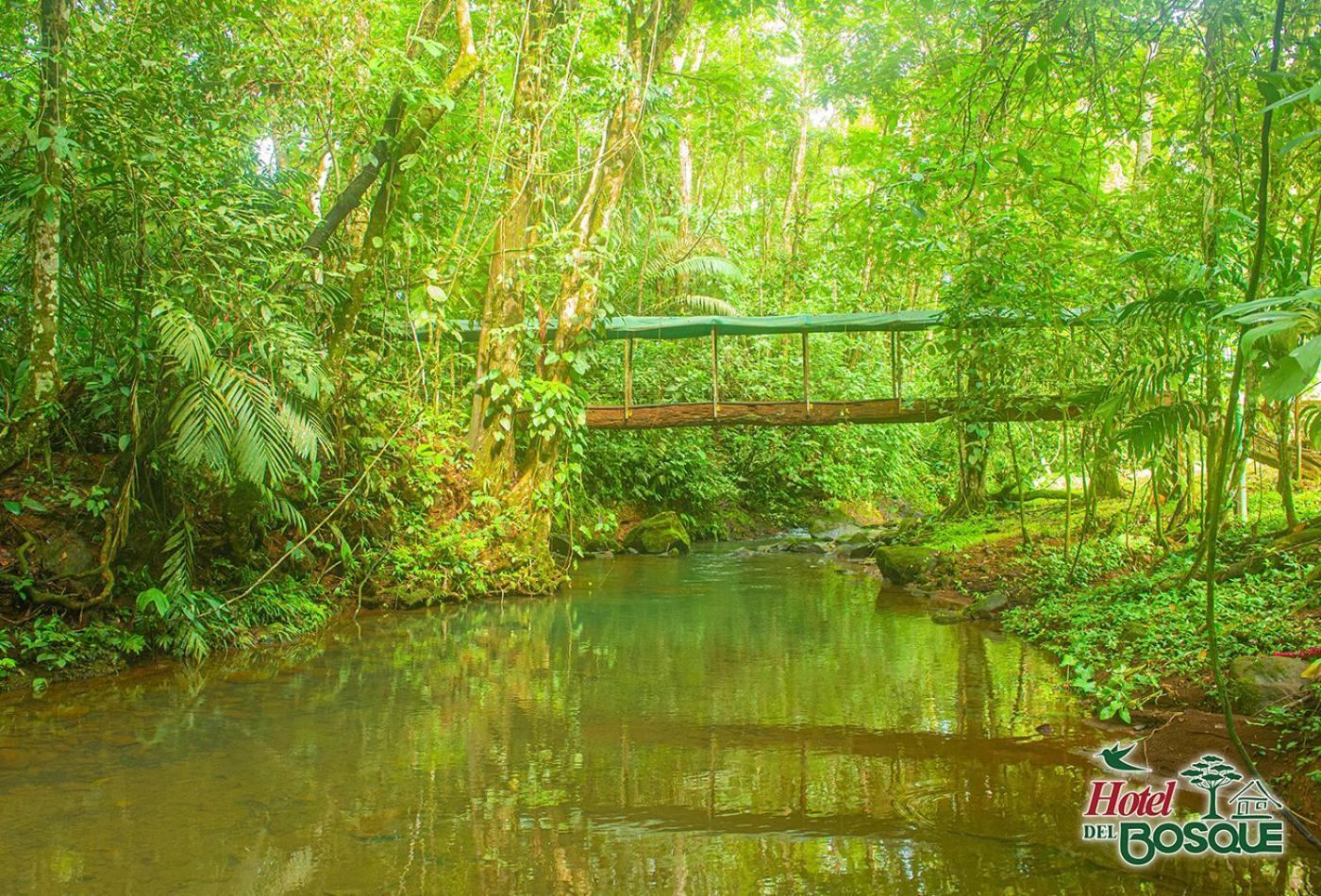 Hotel Del Bosque Rio Cuarto Bagian luar foto