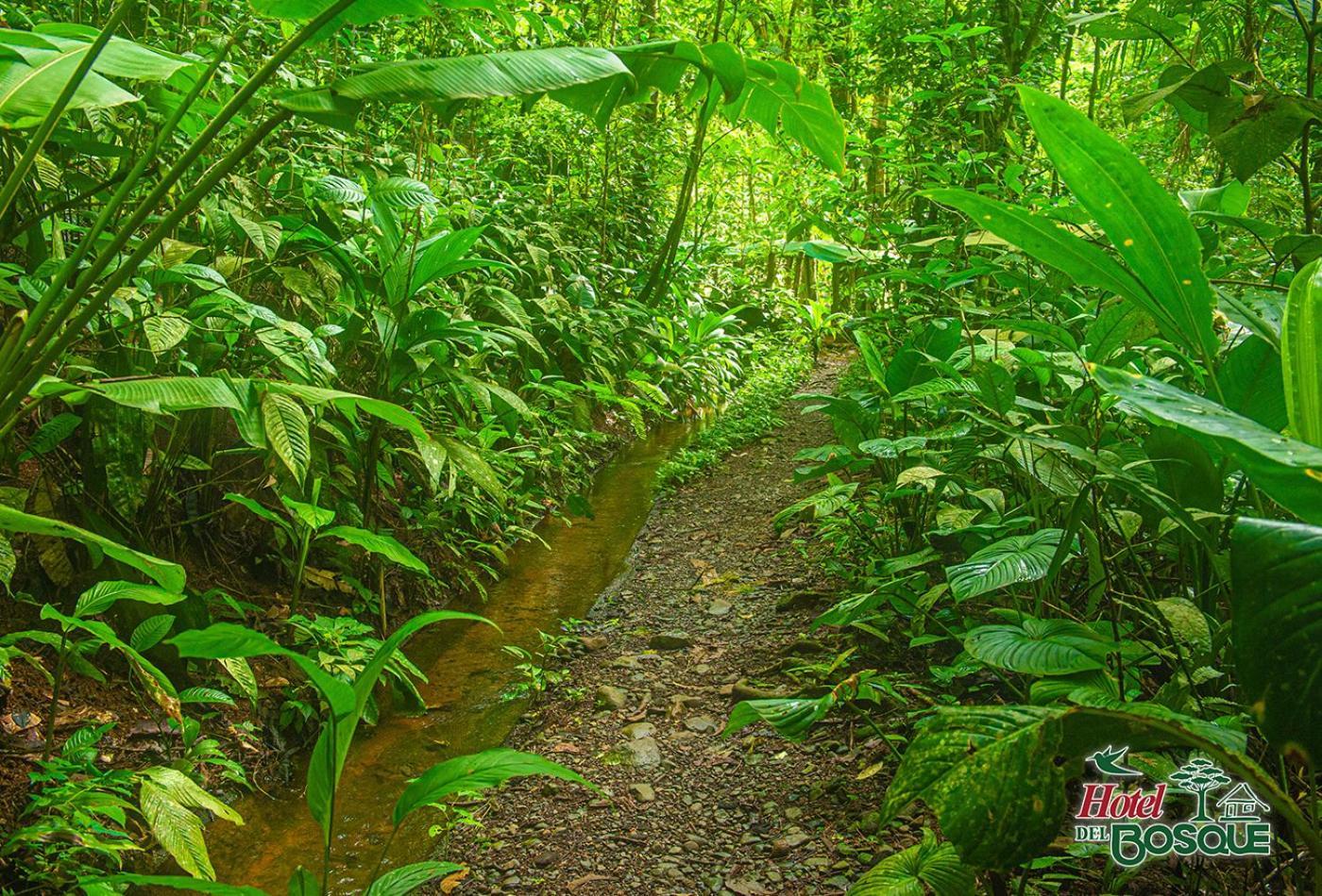 Hotel Del Bosque Rio Cuarto Bagian luar foto
