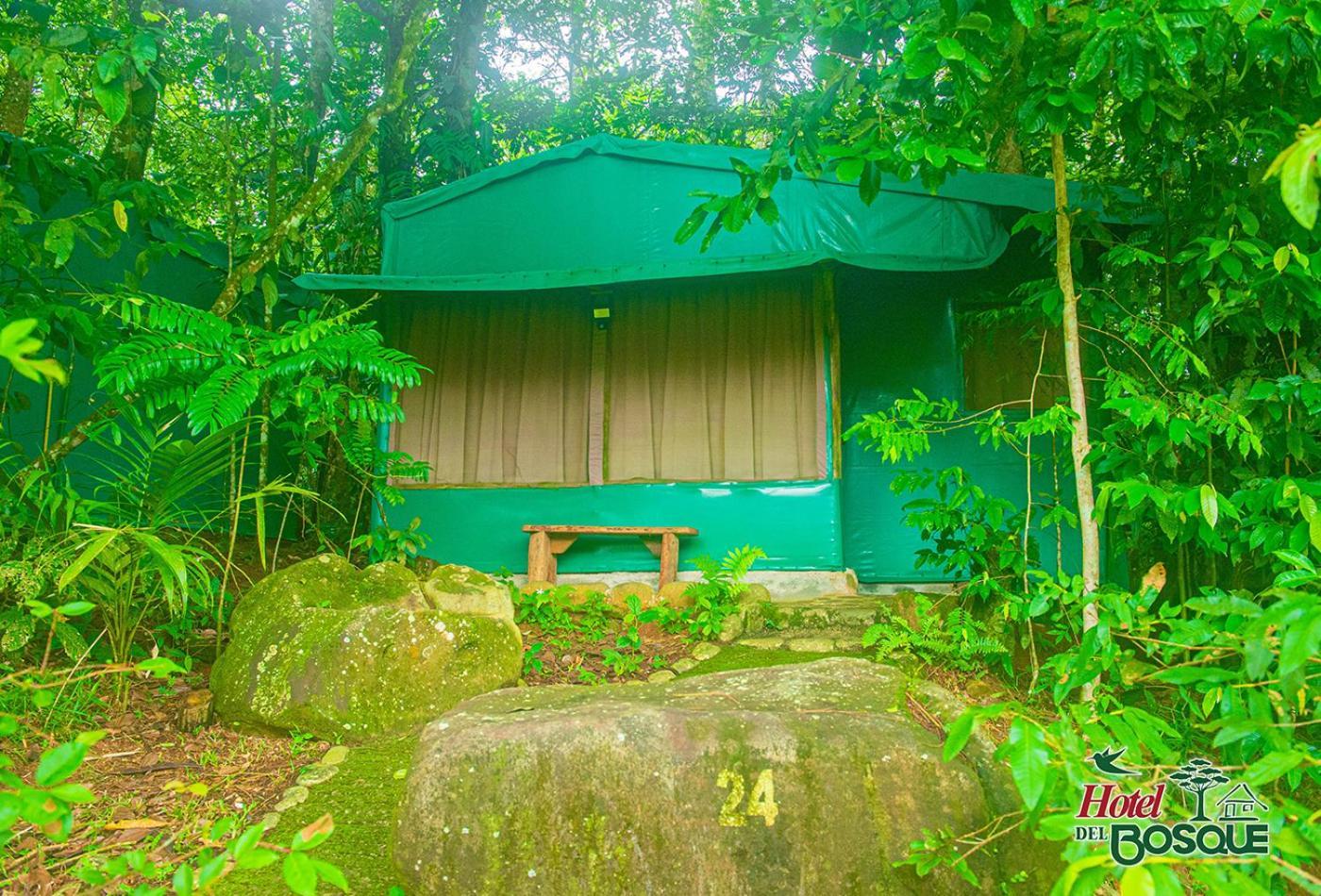 Hotel Del Bosque Rio Cuarto Bagian luar foto
