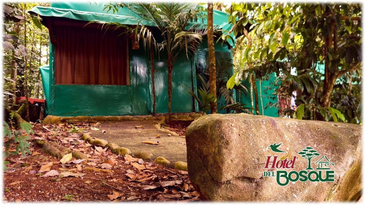 Hotel Del Bosque Rio Cuarto Bagian luar foto
